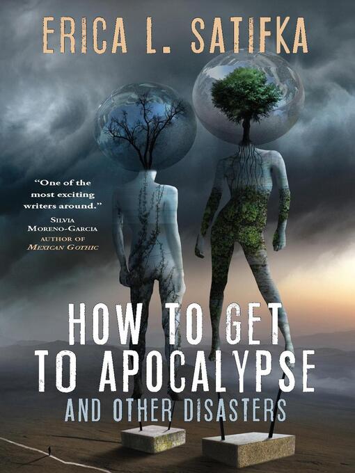 Title details for How to Get to Apocalypse and Other Disasters by Erica L. Satifka - Available